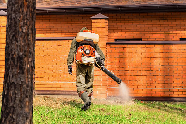 Bed Bug Clearance Verification and Documentation in Sandy